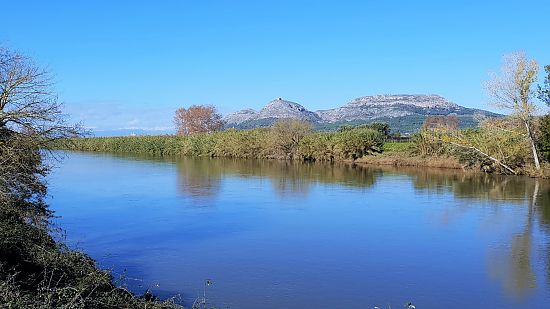 El riu Ter a l'Estartit dins del Parc Natural del Montgrí-Medes-Ter